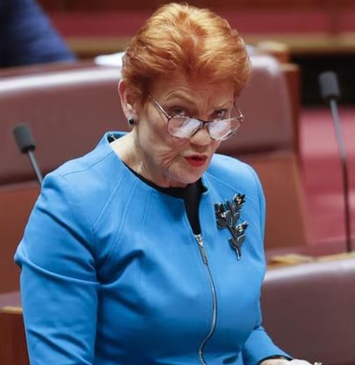 TL74 “Bastards!” Pauline Hanson Fiercely Slams Labor Amid Explosive Senate AWOL Accusations!